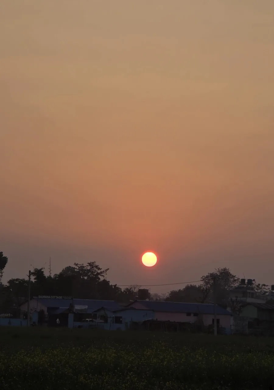 Sunset over Sauraha Cottage and the mustard fields in front of it